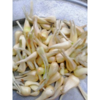 1kg củ kiệu sấy khô