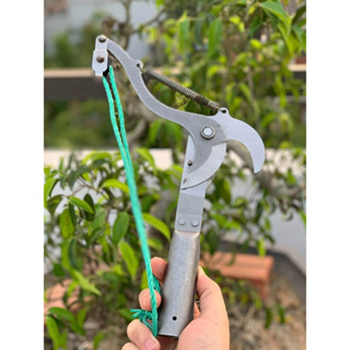 Đầu kéo cắt cành - Kéo tỉa cành cây trên cao bằng thép cao cấp