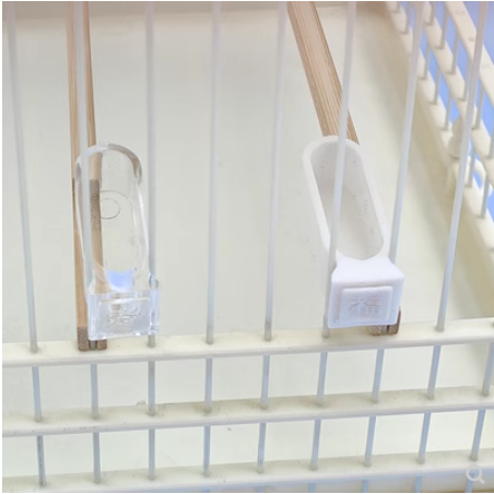 Cóng Ăn Sinh Tố Cho Chim Khuyên, Phù Hợp Cho Các Loại Lồng Khuyên.