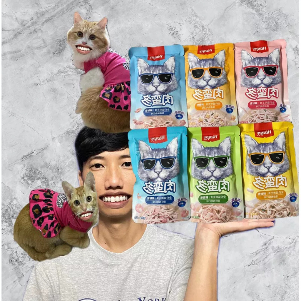 Patê Wanpy mẫu mới