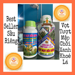 Kéo đọt vọt đọt Sầu Riêng bung đọt cực mạnh ra đọt đồng loạt mập đọt to lá xanh lá dày lá