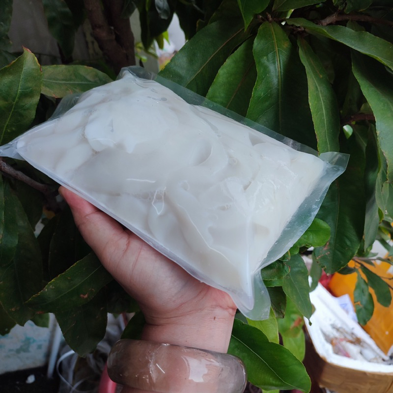 Mực Vụn bịch 1kg tươi ngon