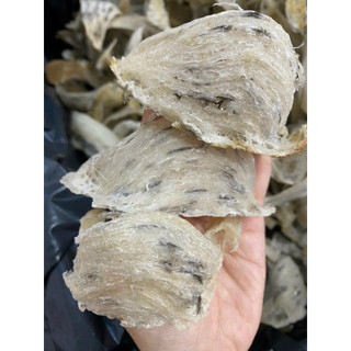 Vi sinh nhà yến BIO MEGA - 1KG