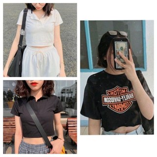 Combo 3 áo (Áo croptop cổ bẻ đen + áo croptop cổ bẻ trắng + áo Harley)