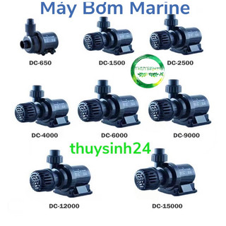 Bơm marine dc 1500 | 2500 | 4000 | 6000 | 9000 | 12000 | 15000 bơm nước