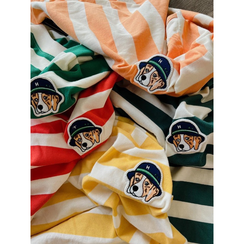 Áo thun kẻ xuất Hàn