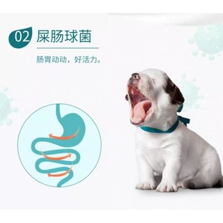 [Hoả Tốc] Pudding Sữa Dê cho Chó, Chó con, Pudding sữa dê dưỡng lông cho chó