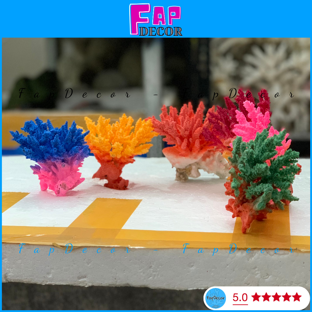 SAN HÔ BÔNG RẠN BIỂN PHỐI 2 MÀU ĐỘC LẠ TRANG TRÍ THỦY SINH, LÀM ĐỒ HAMDMADE, TRANG TRÍ NHÀ - FAPDECOR