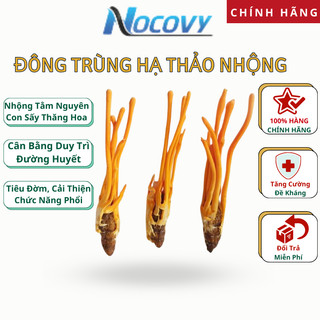 Đông Trùng Hạ Thảo Khô Nhộng Tằm Nguyên Con Sấy Thăng Hoa Loại 1 không vỡ nhộng cao cấp NOCOVY
