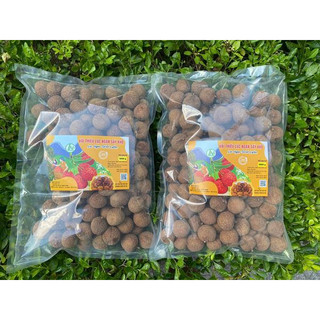Vải Thiều Lục Ngạn sấy -HTX Lục Ngạn Xanh- an toàn - chất lượng-long sấy khô đảm bảo