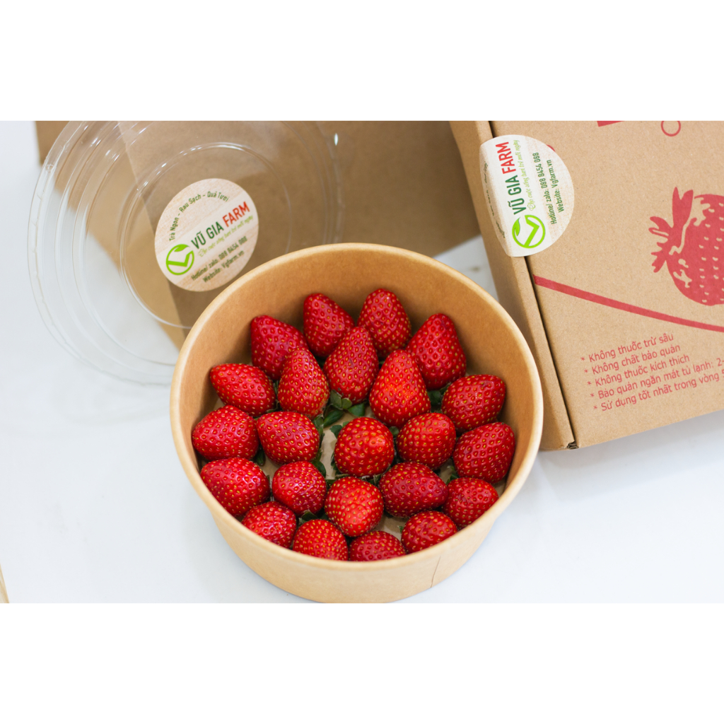 VG FARM Dâu Nhật Sky Đà Lạt Size 36