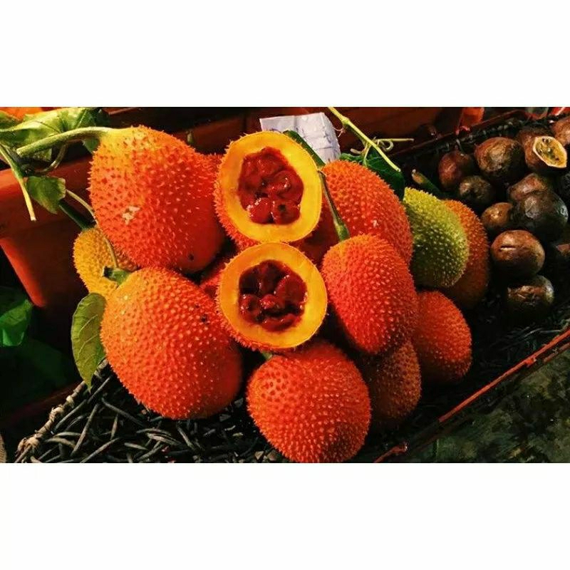 Ruột Gấc Cấp Đông 1kg