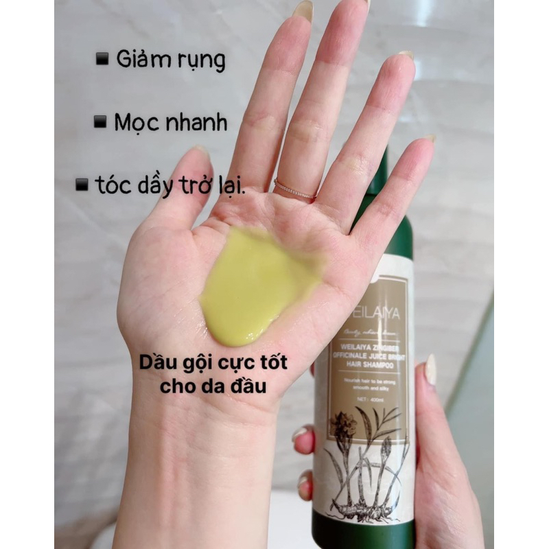 Bộ dầu gội weilaiya 20ml x2 chai