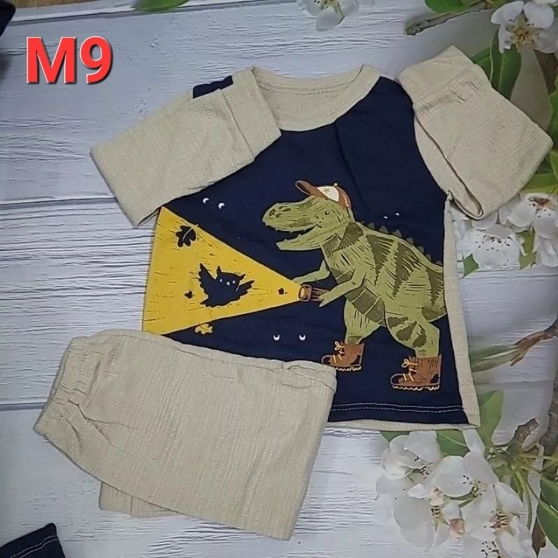 Bộ dài tay khủng long cho bé