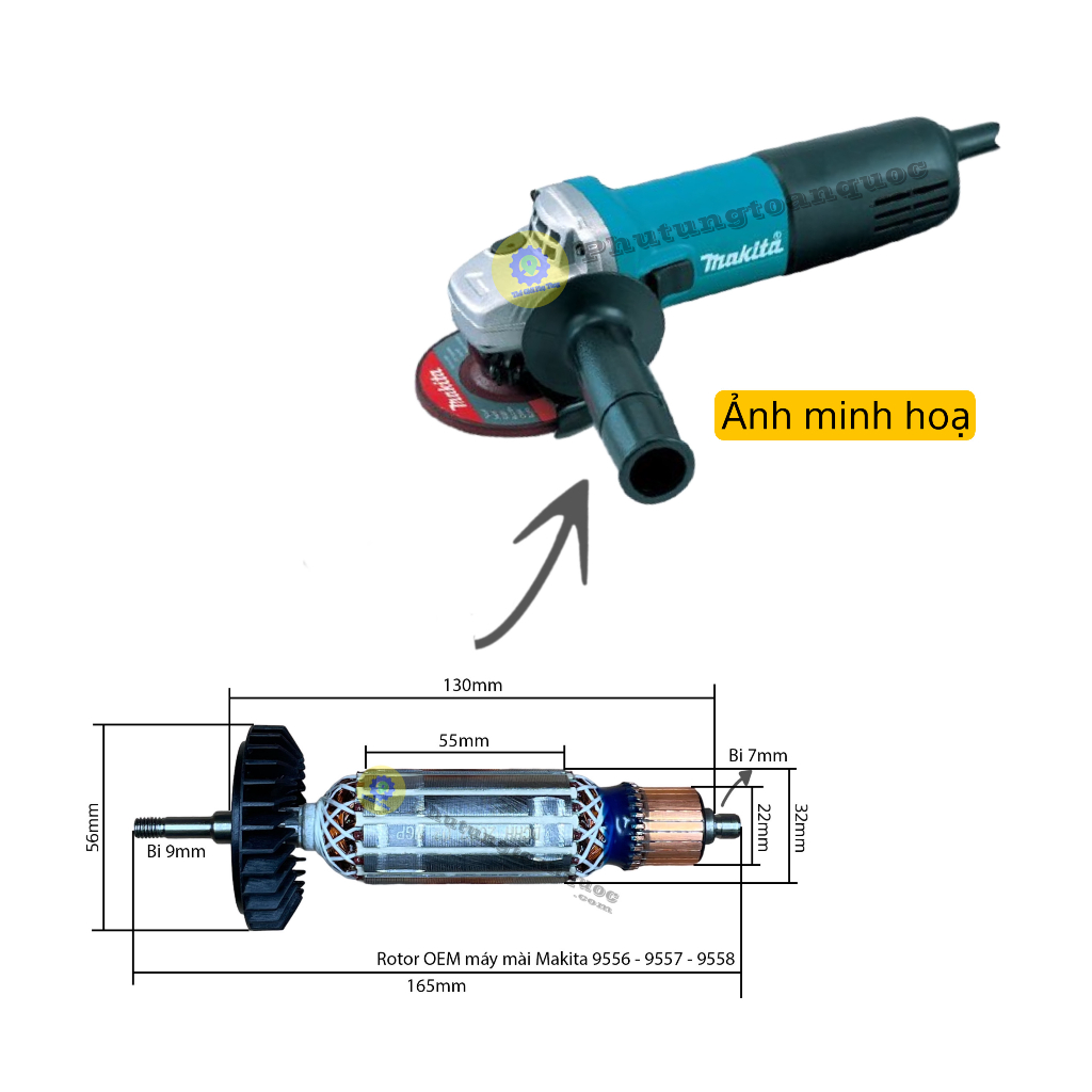 Rotor Máy Mài Makita 9556 - 9556NB - 9556HN Hoặc Các Dòng Nhái Có Cùng Thông Số