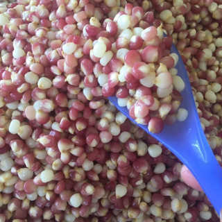 1kg Ngô bung điện Biên