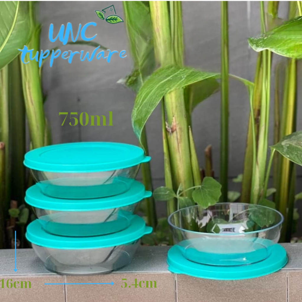 Bộ hộp Bảo quản thực phẩm Tupperware Clear Bowl 750ml (4)