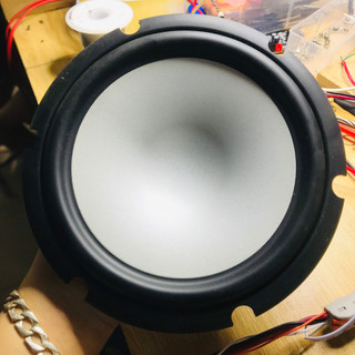 Màng loa 20cm gân cao su
