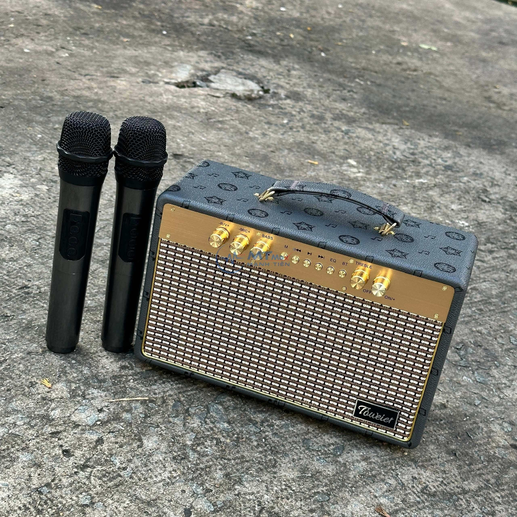 Loa Xách Tay Bluetooth Karaoke TW318- Thiết Kế Sang Trọng, Âm Thanh Sóng Động Chất Lượng Cao, Tặng Kèm 2 Micro Không Dây