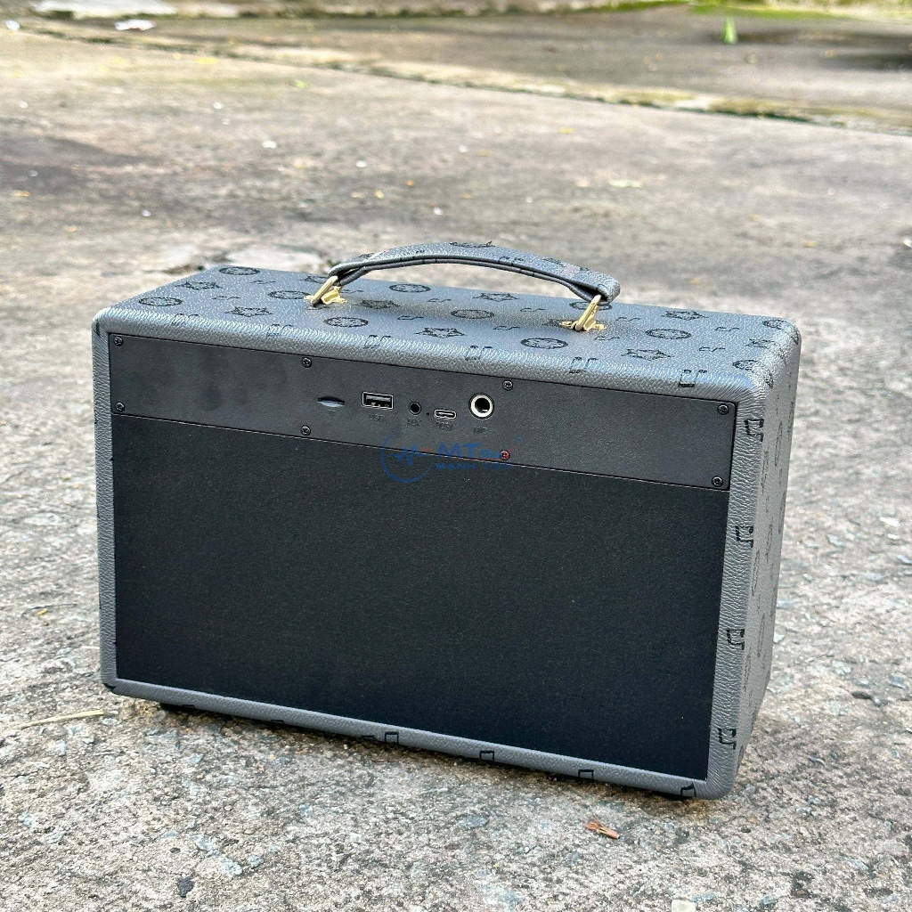 Loa Xách Tay Bluetooth Karaoke TW318- Thiết Kế Sang Trọng, Âm Thanh Sóng Động Chất Lượng Cao, Tặng Kèm 2 Micro Không Dây