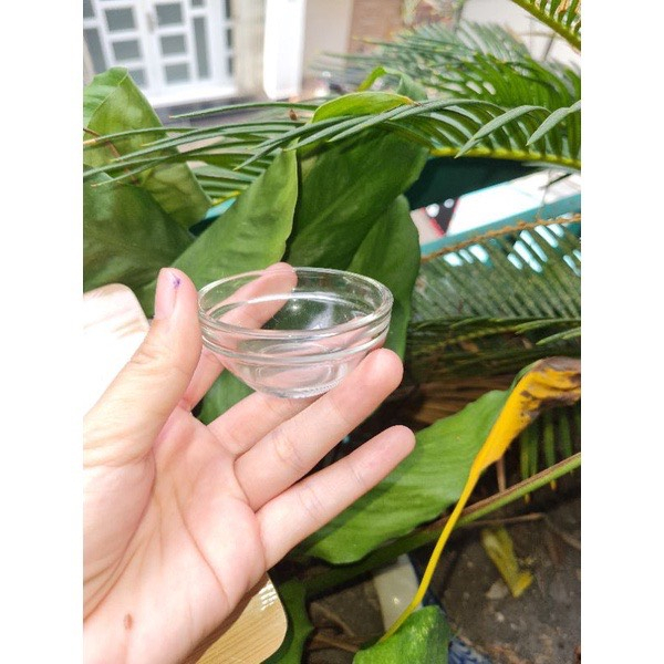 Chén thủy tinh peel da