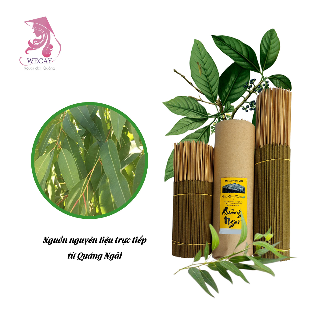 Nhang Khuynh Diệp Quảng Ngãi 1 bó 1 kg 1000g kích thước 25cm và 38cm