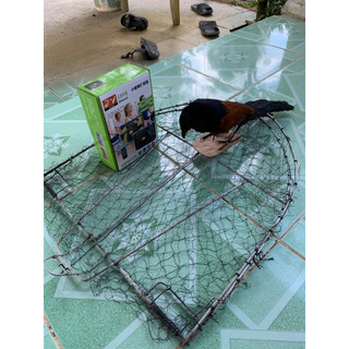 Trọn bộ 1 mẹt bẫy bịp + 1 bịp