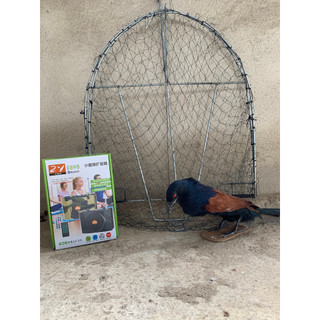 Trọn bộ 1 mẹt bẫy bịp + 1 bịp