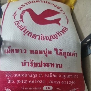 10kg tám thái (loại thường)