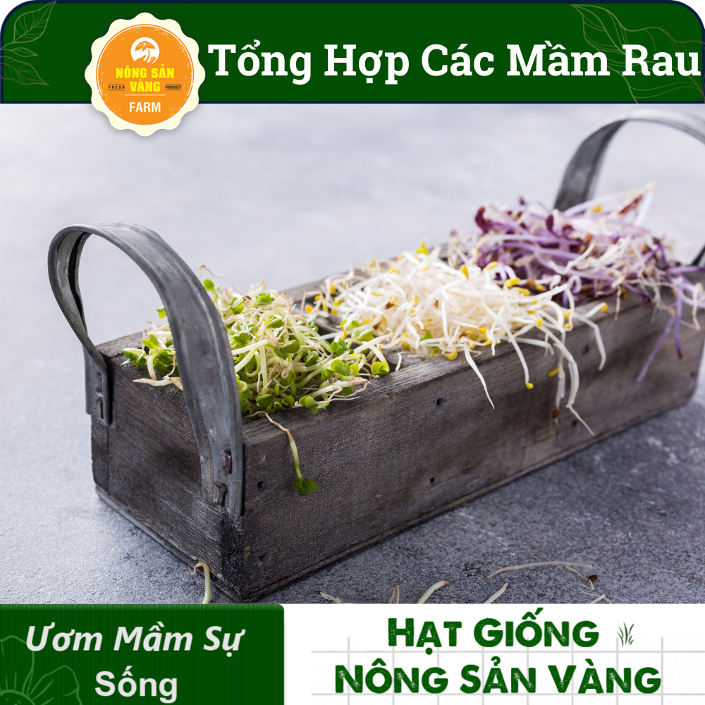 Tổng Hợp Các Loại Hạt Giống Rau Mầm Dinh Dưỡng, Nảy Mầm Cao