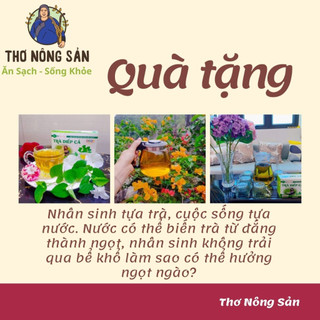 Trà Diếp Cá Túi Lọc( Thanh lọc cơ thể, ngăn ngừa mụn, mẩn ngứa)