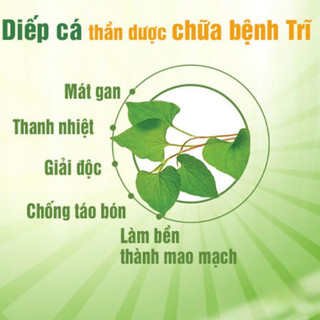Trà Diếp Cá Thải Độc Detox, Giảm Mụn Lụa Vy ( Hộp 35 túi lọc)