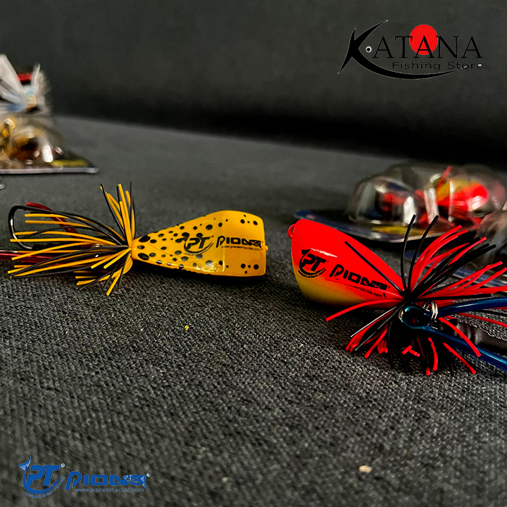 Nhái Gỗ - Nhái Lắc Butterfly Frog, Nhái Nhảy Steward Frog Pioneer