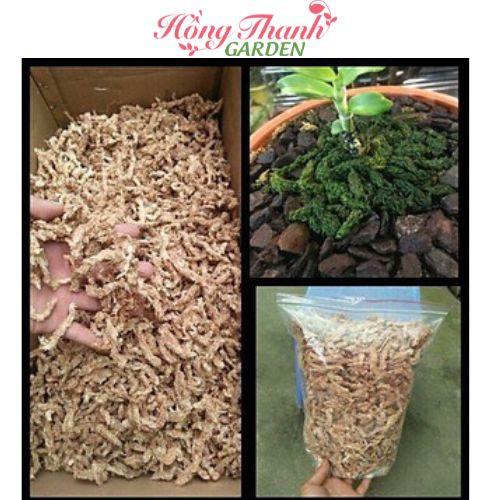 Rêu sâu Chile  loại 1 nhập khẩu - Giá thể giữ ẩm tuyệt vời cho phong lan
