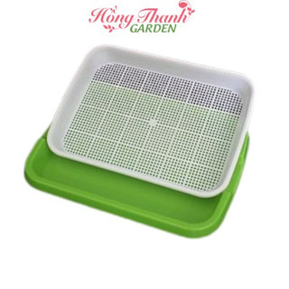 Khay trồng rau mầm thủy canh chuyên dụng Hồng Thanh Garden