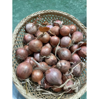 1kg củ hành tím loại củ to ( giao siêu tốc Tphcm )