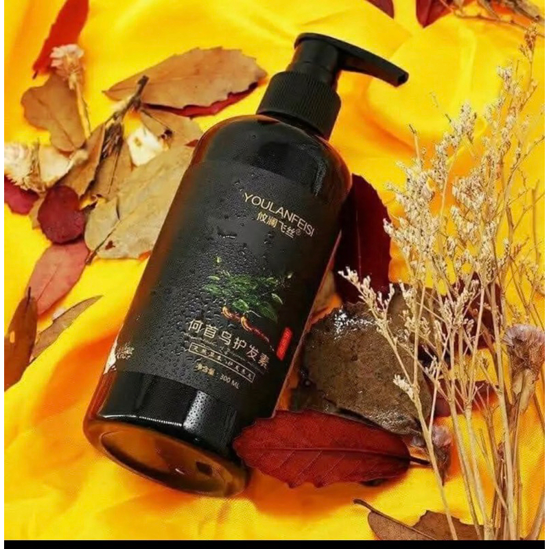 Dầu gội hà thủ ô -linh chi