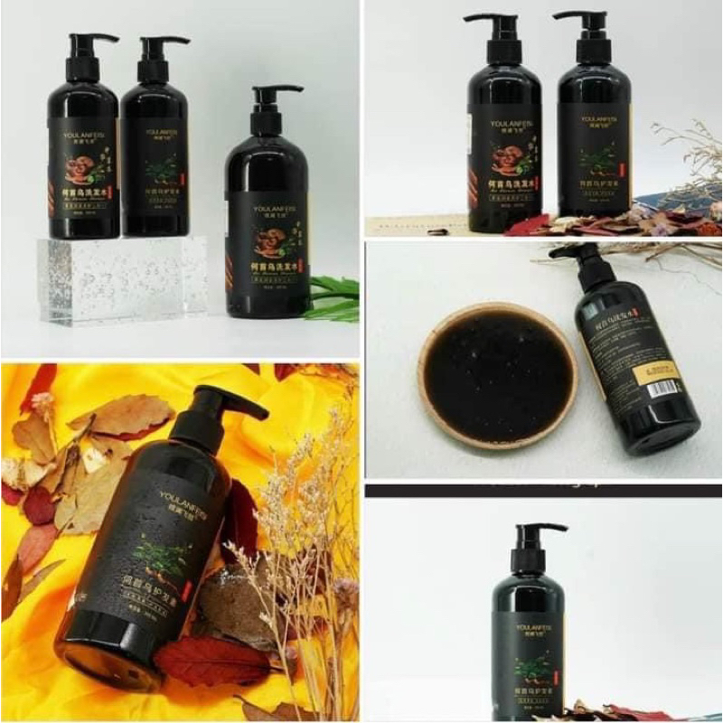 Dầu gội hà thủ ô -linh chi