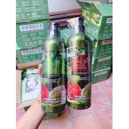 Cặp dầu gội xả bưởi cao cấp GRAPEFRUIT 850ml . KD1