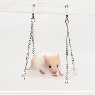 Xích đu gỗ ép đồ chơi, vật dụng trang trí lồng cho hamster