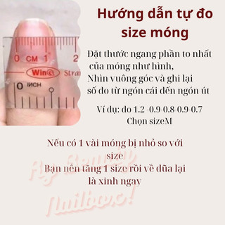 Nailbox thiết kế gấu dâu ngắn