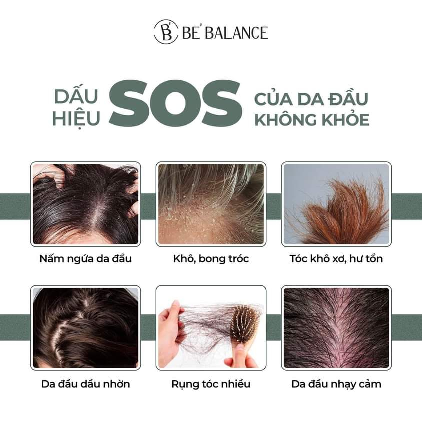 Dầu Gội All In One The Shampoo BEBALANCE
