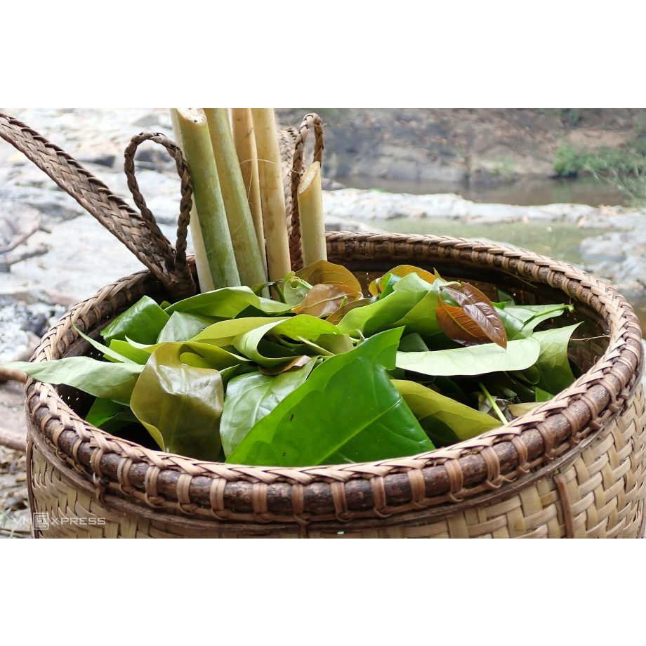 RAU BÉP TƯƠI HÁI RỪNG TƯƠI NGON NHẤT - 1kg