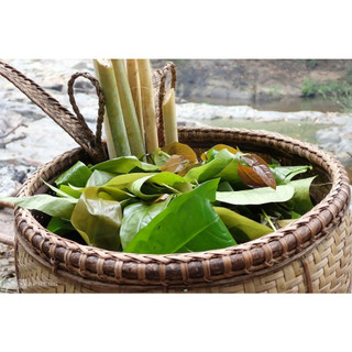 RAU BÉP RỪNG K'LONG