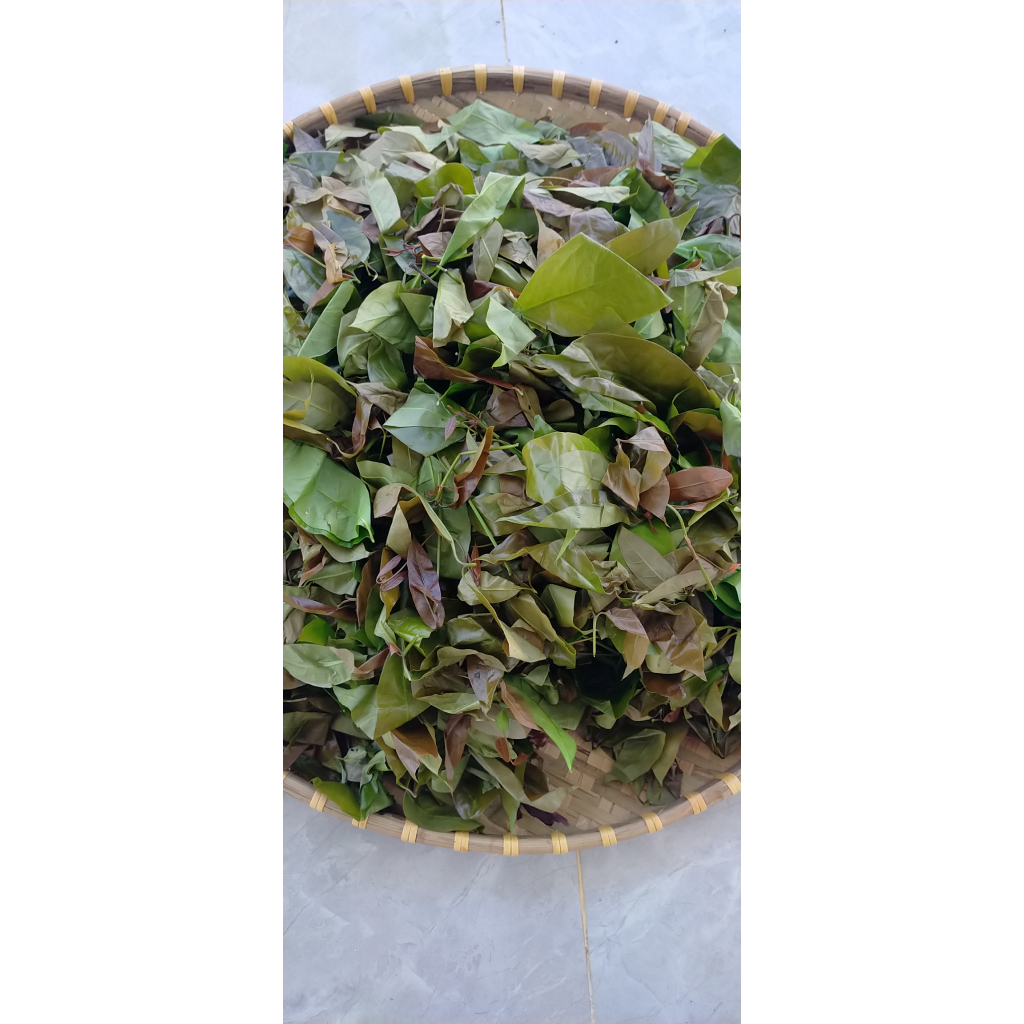 RAU BÉP TƯƠI HÁI RỪNG TƯƠI NGON NHẤT - 1kg
