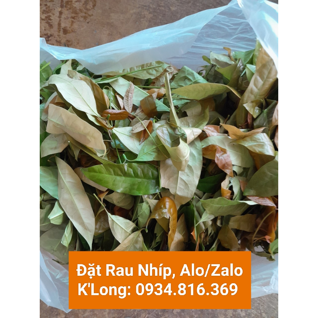 RAU BÉP TƯƠI HÁI RỪNG TƯƠI NGON NHẤT - 1kg