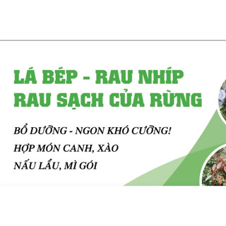 BỘT RAU BÉP RỪNG K'LONG - 100gram