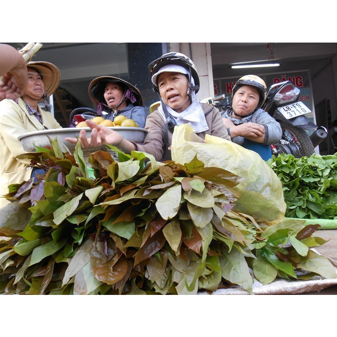 RAU BÉP TƯƠI HÁI RỪNG TƯƠI NGON NHẤT - 1kg