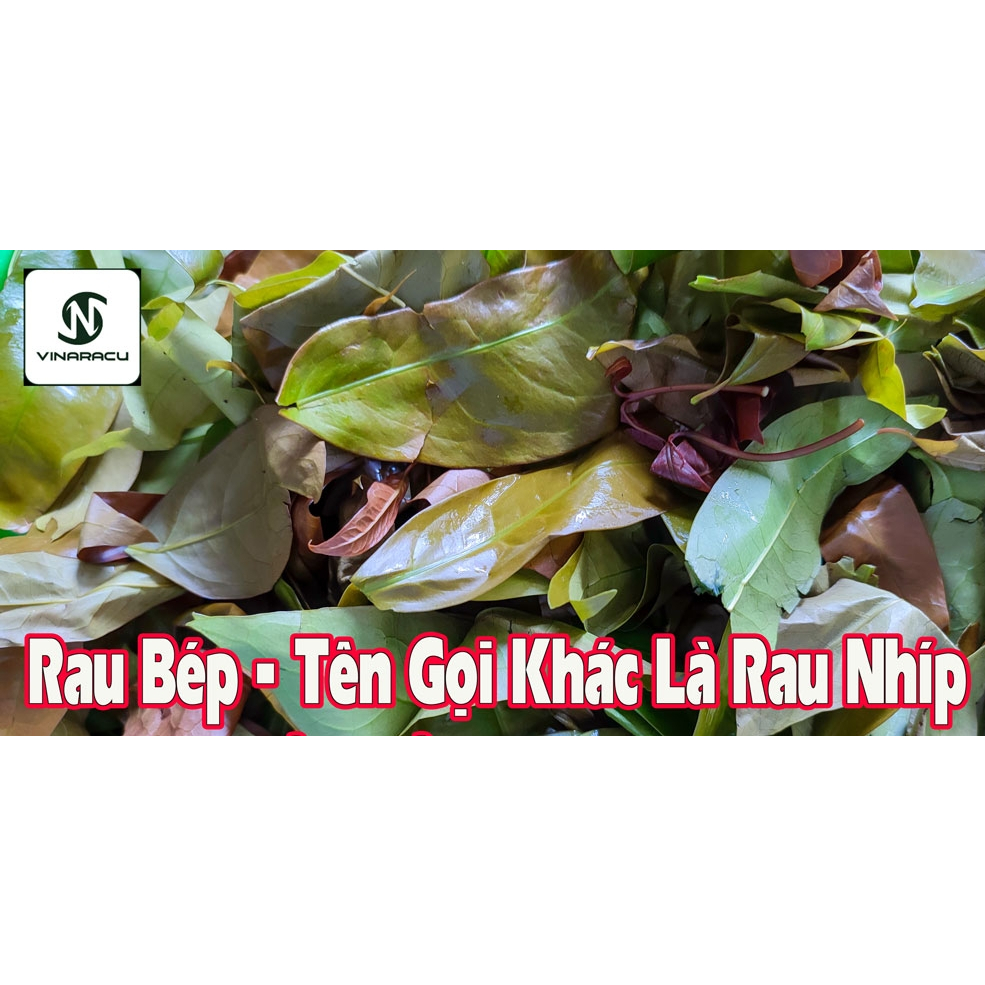 RAU BÉP TƯƠI HÁI RỪNG TƯƠI NGON NHẤT - 1kg