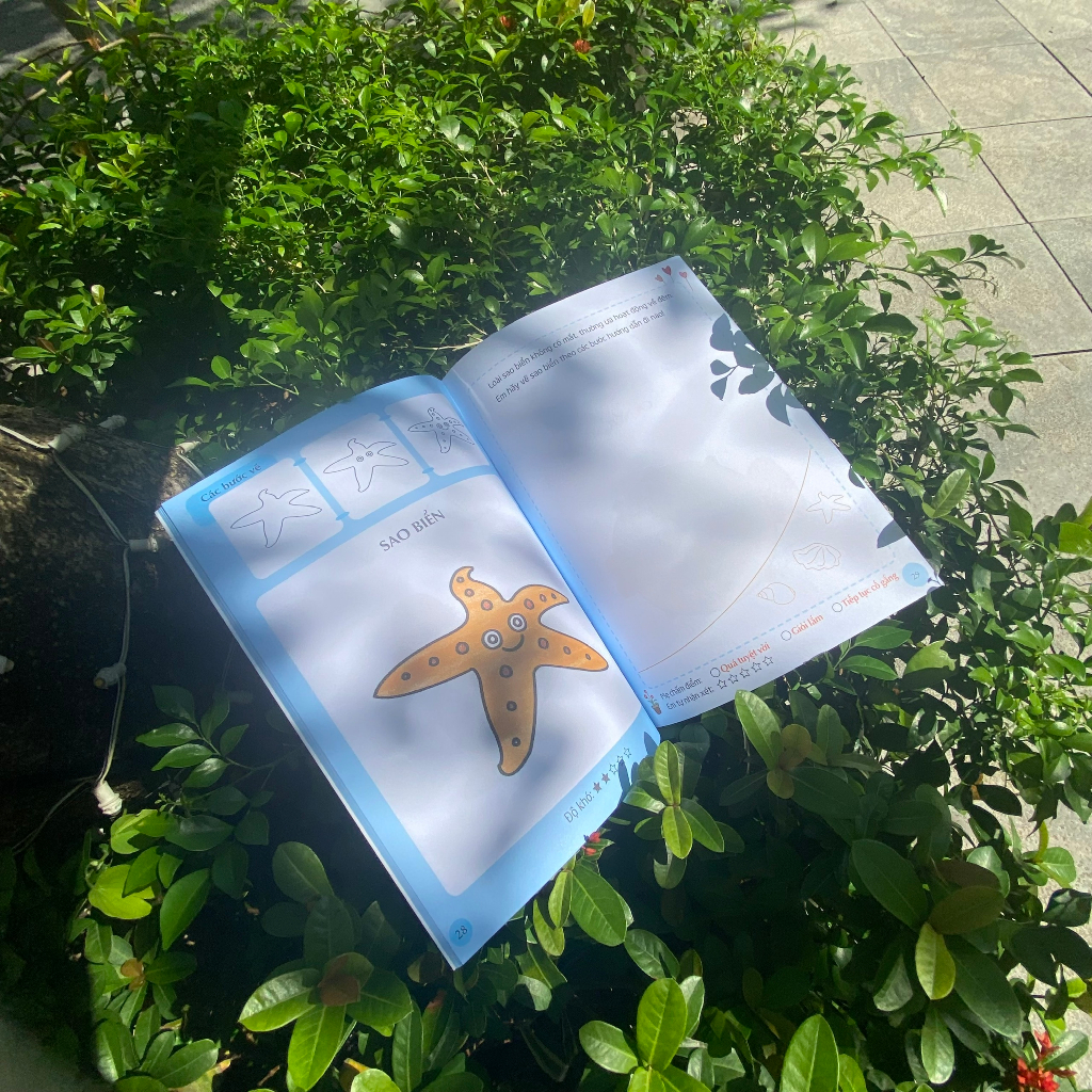 Sách Em Tập Vẽ Và Tô Màu - Động Vật Dưới Nước